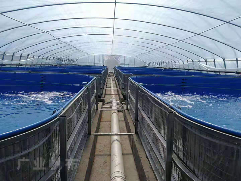 養魚帆布水池安裝注意事項